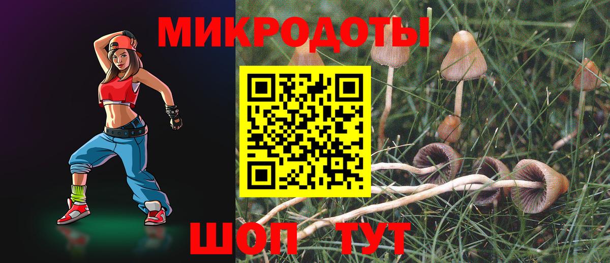 Галлюциногенные грибы Psilocybine cubensis Семёнов