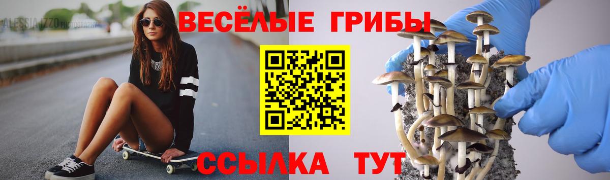 Семёнов  Псилоцибиновые грибы GOLDEN TEACHER  Псилоцибиновые грибы Magic Shrooms  Вход с VPN 